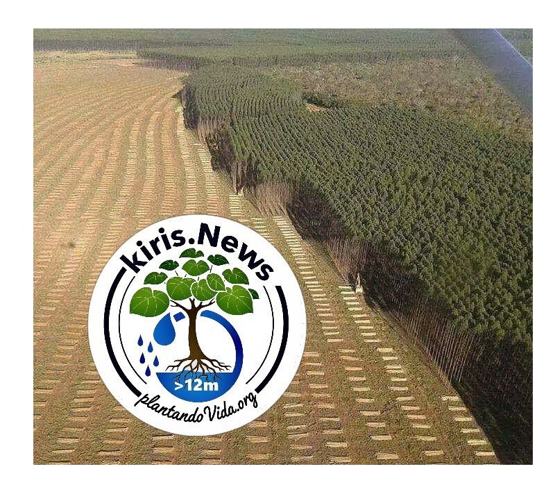 Cultivo Sostenible de Madera